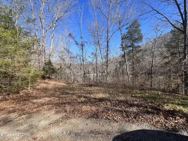 Speedwell, TN 37870,4 lots Jones Ridge Rd