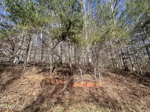 lot 9 Jones Ridge Rd, Speedwell, TN 37870