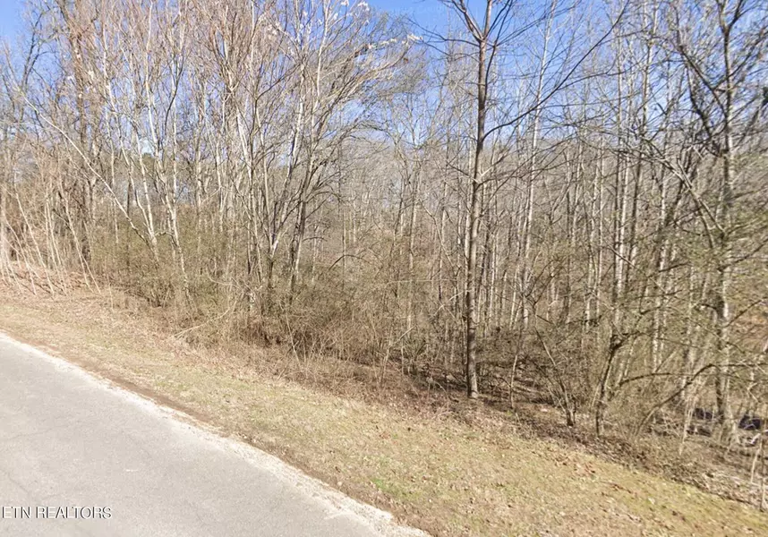 Lake Forest DR, Lenoir City, TN 37772