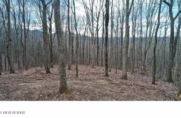 Del Rio, TN 37727,1620 Ponderosa Rd