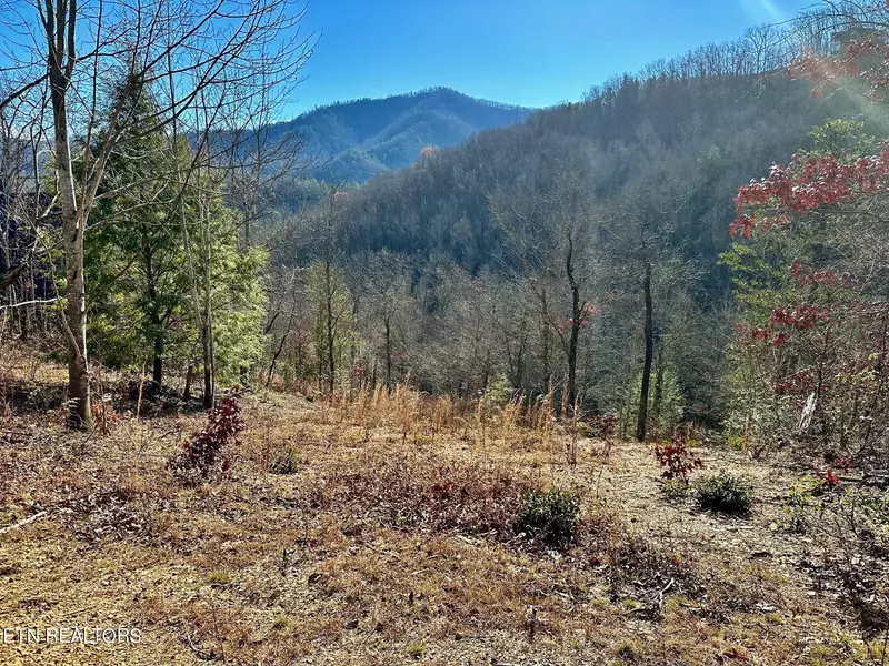 Mountain Dreams WAY, Sevierville, TN 37862