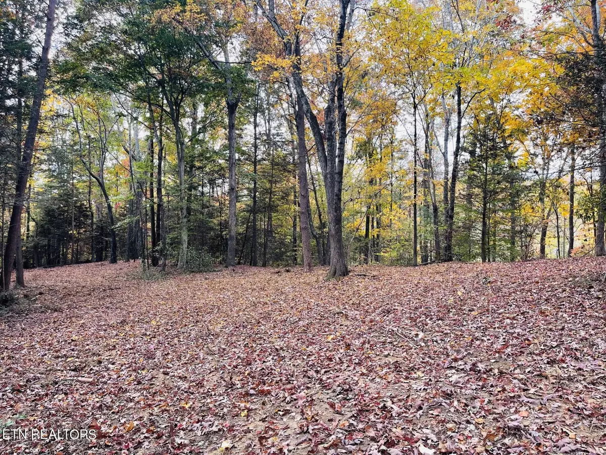 Sevierville, TN 37862,Lot 4B McPherson LN