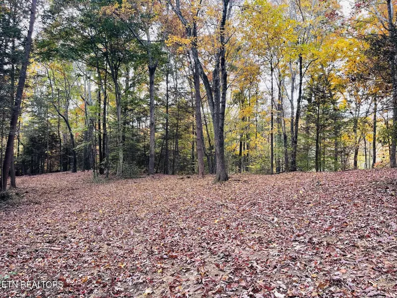 Lot 4B McPherson LN, Sevierville, TN 37862