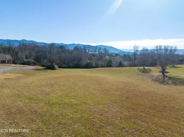 Walland, TN 37886,Thunderhead Mountain Dr