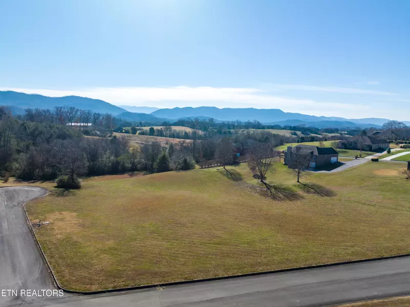 Thunderhead Mountain Dr, Walland, TN 37886