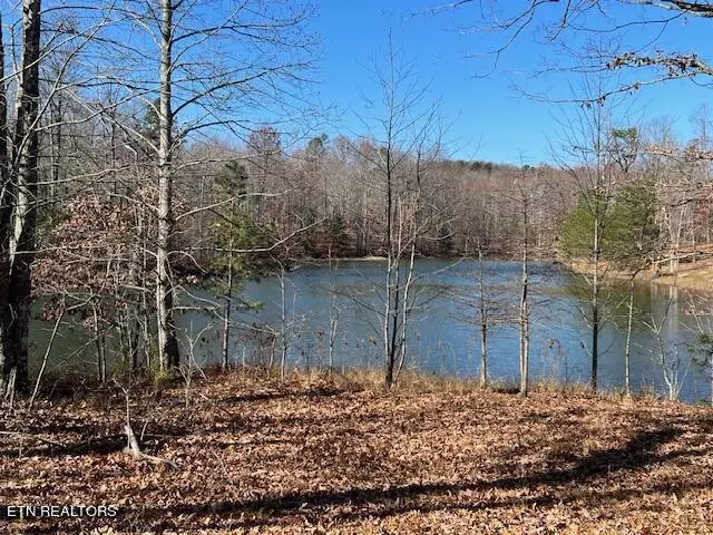 lot 337 Bluff View DR, Dunlap, TN 37327