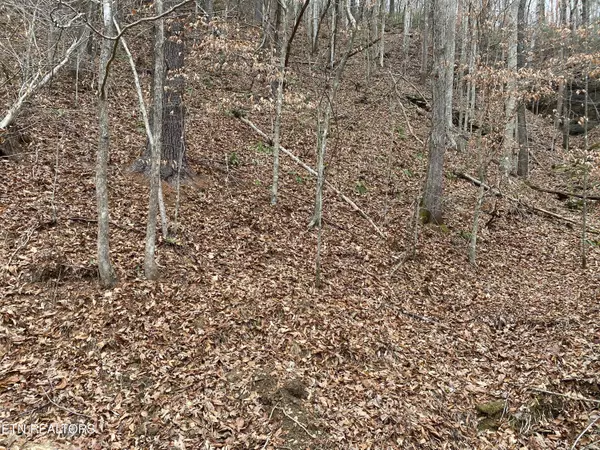Oneida, TN 37841,LOT # 9 Stanley Creek Rd