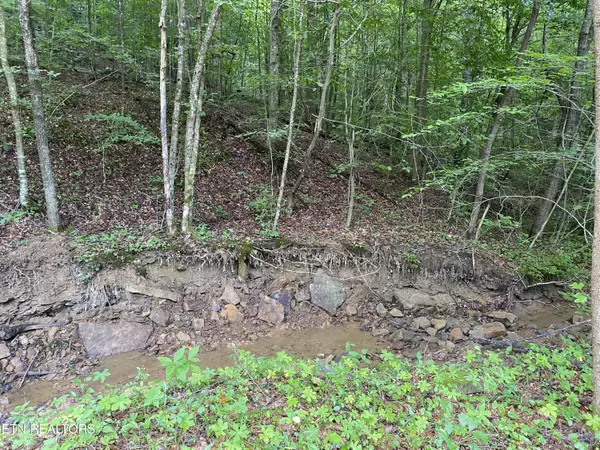 LOT #10 Stanley Creek Rd, Oneida, TN 37841