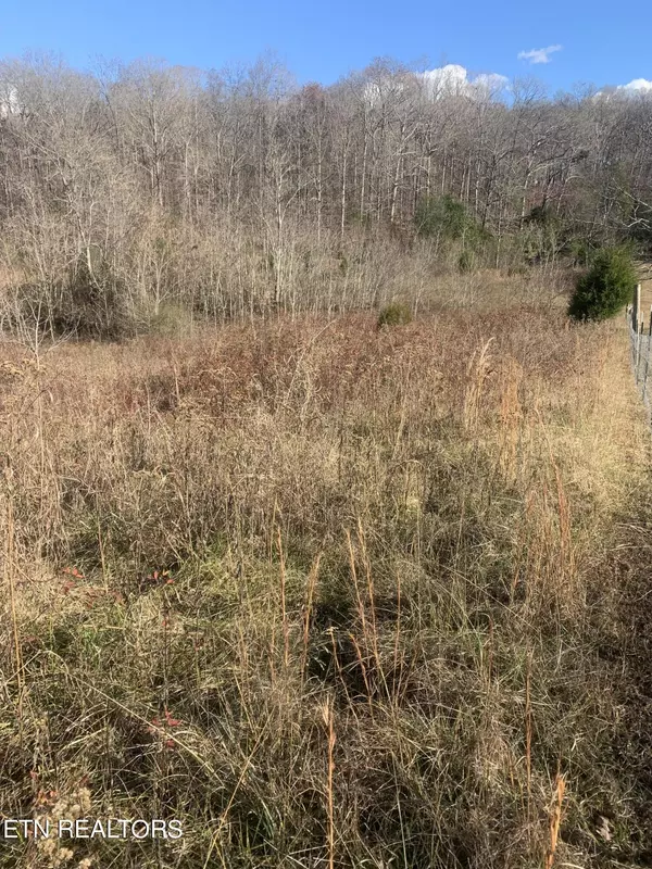 Loudon, TN 37774,820 Lawhon farm Rd