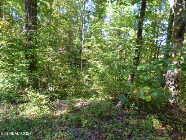 Crossville, TN 38555,Prentice St