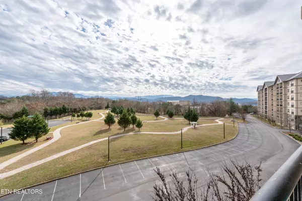 Pigeon Forge, TN 37863,124 Plaza DR #3401