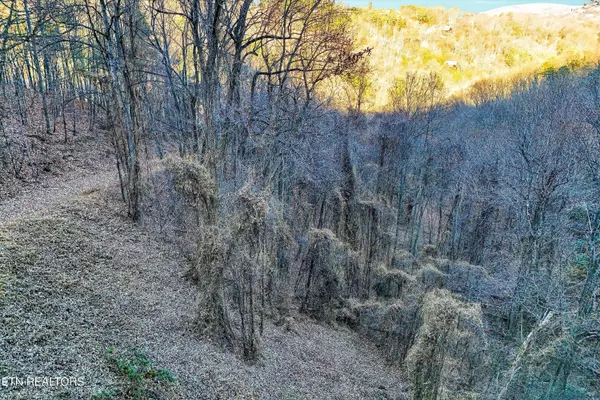 Sevierville, TN 37862,Lots 6,7 Balsam Slopes Rd