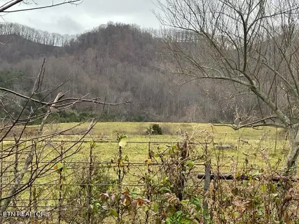 Dryden, VA 24243,Blair Rd