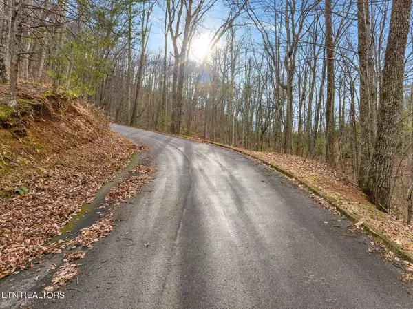 Sevierville, TN 37862,Lexy LN