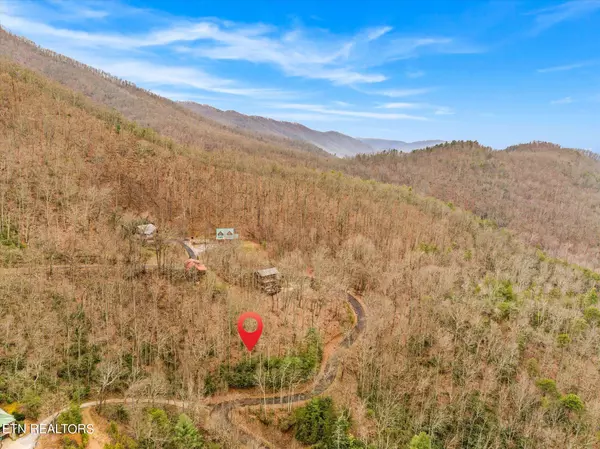 Sevierville, TN 37862,Lexy LN