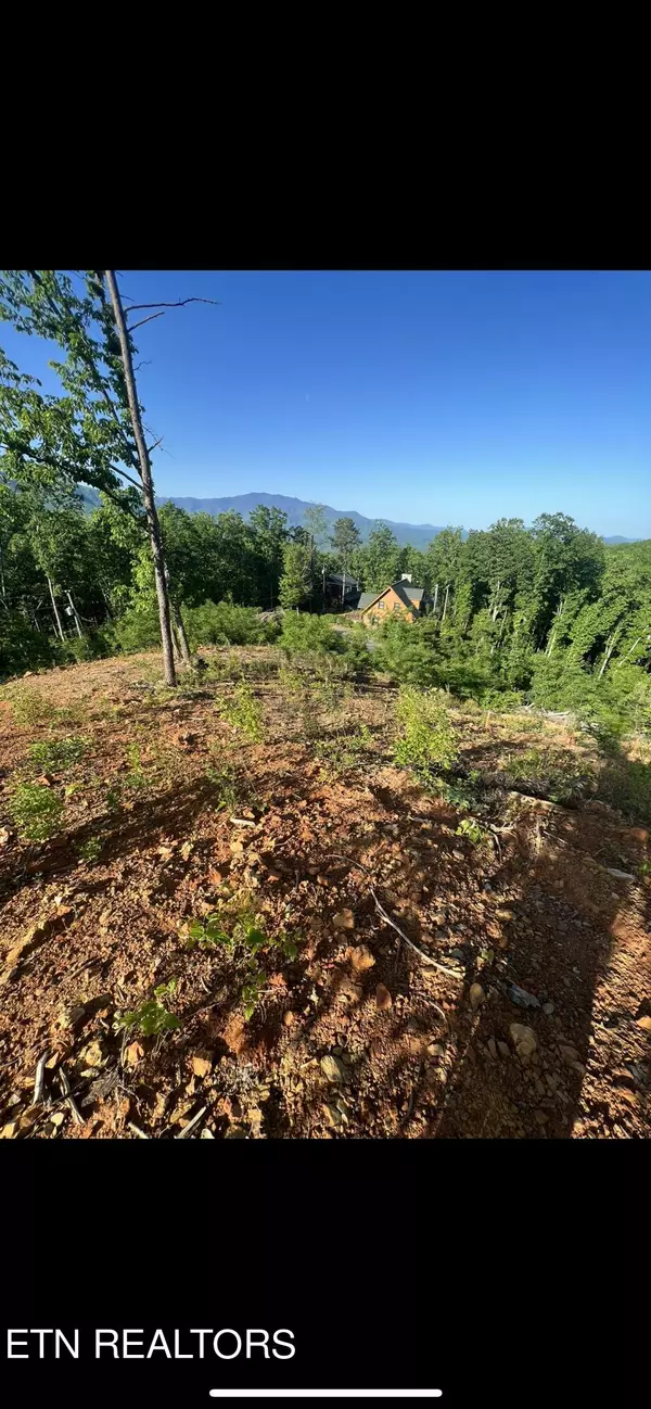 Gatlinburg, TN 37738,Lot 68,69 Pine Top LN