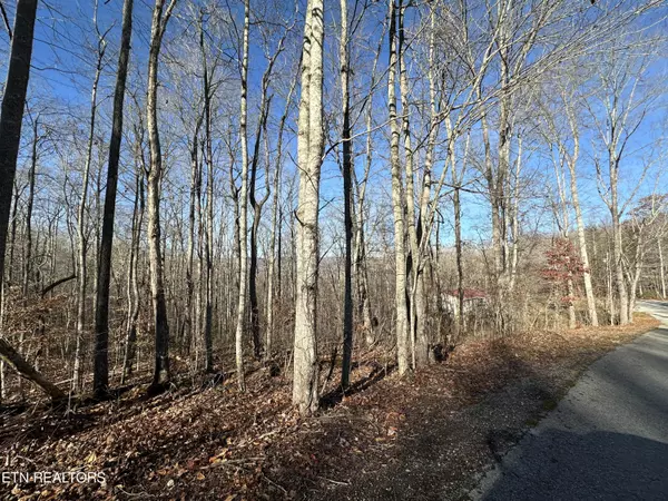 lot 39 Kays DR, Lafollette, TN 37766