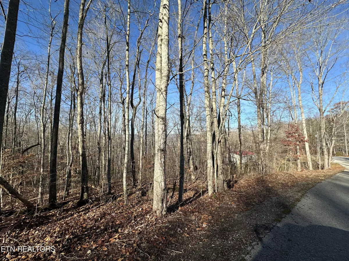 Lafollette, TN 37766,lot 39 Kays DR