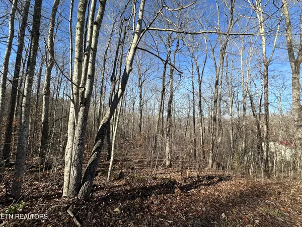 Lafollette, TN 37766,lot 39 Kays DR