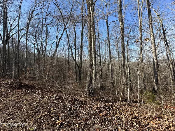 Lafollette, TN 37766,lot 39 Kays DR