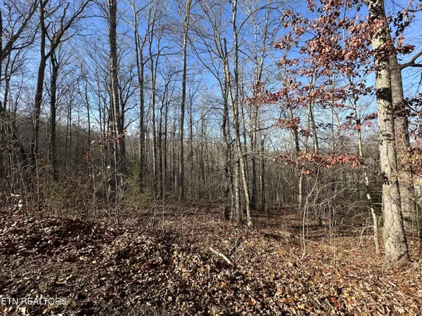 Lafollette, TN 37766,lot 39 Kays DR