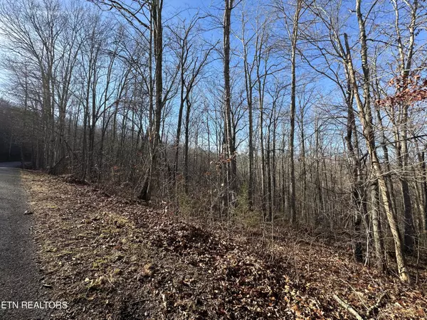 Lafollette, TN 37766,lot 39 Kays DR