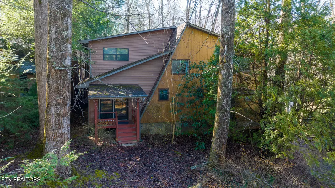 117 Stonewall WAY, Cosby, TN 37722