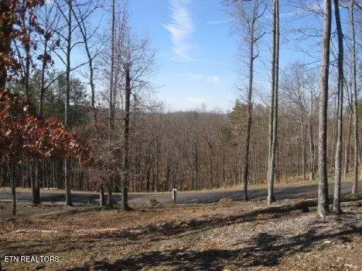 Lot #32 Bayside Blvd, Bean Station, TN 37708