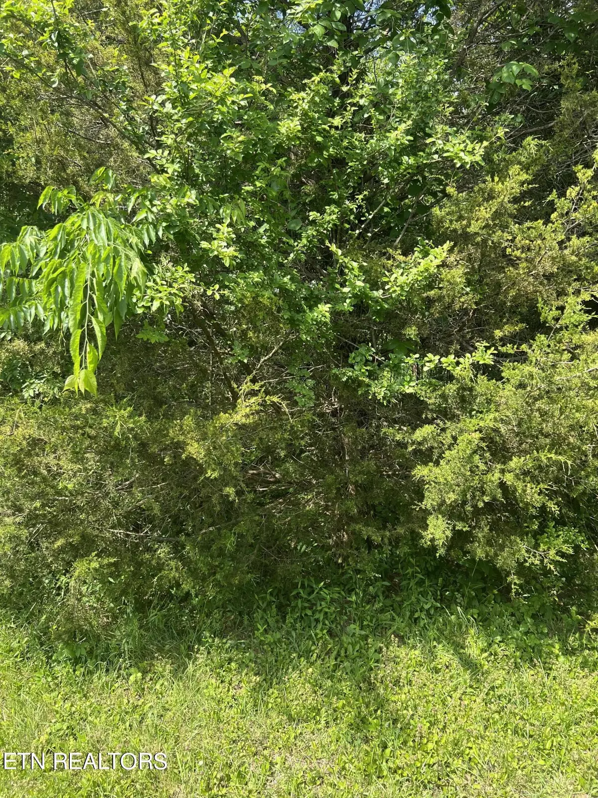Sweetwater, TN 37874,141 Mt View Rd