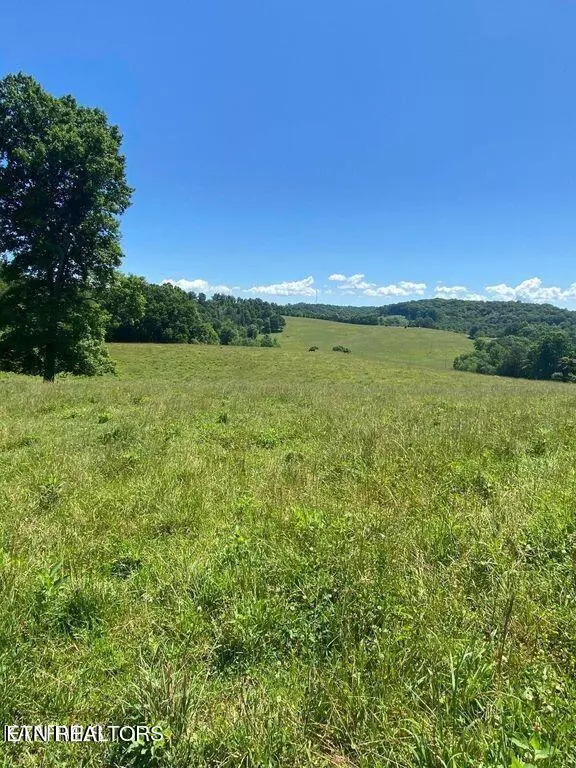 Lafollette, TN 37766,Lot 1 Chapman Rd