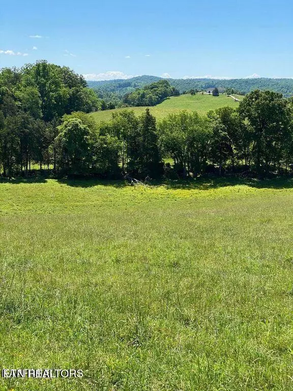 Lafollette, TN 37766,Lot 3 Chapman Rd