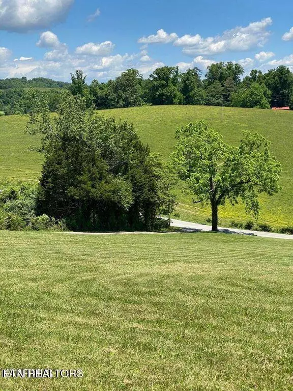 Lafollette, TN 37766,Lot 3 Chapman Rd