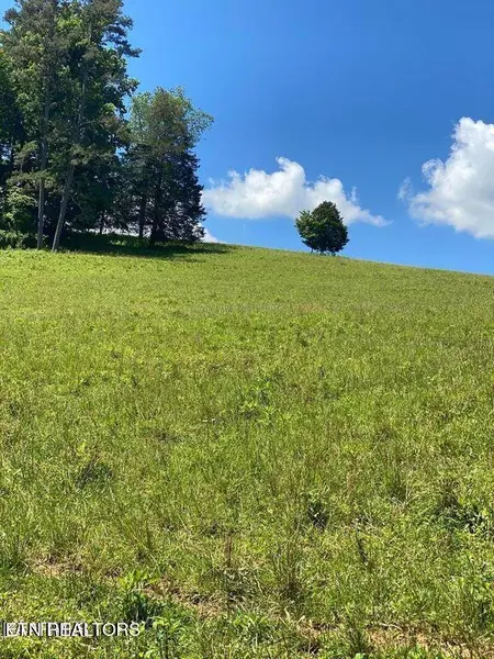 Lot 7 Chapman Rd, Lafollette, TN 37766