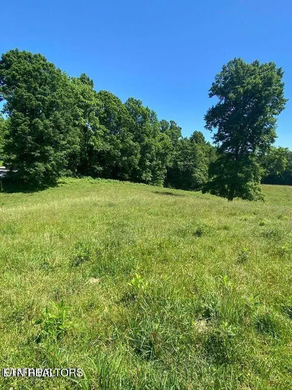 Lafollette, TN 37766,Lot 2 Chapman Rd