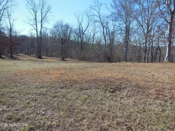 Spring City, TN 37381,140 Quail Hollow Cove