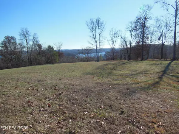 Spring City, TN 37381,140 Quail Hollow Cove