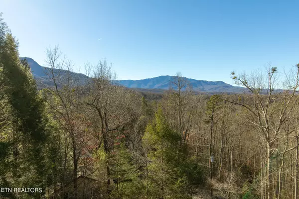 Gatlinburg, TN 37738,372 Saint Andrews WAY