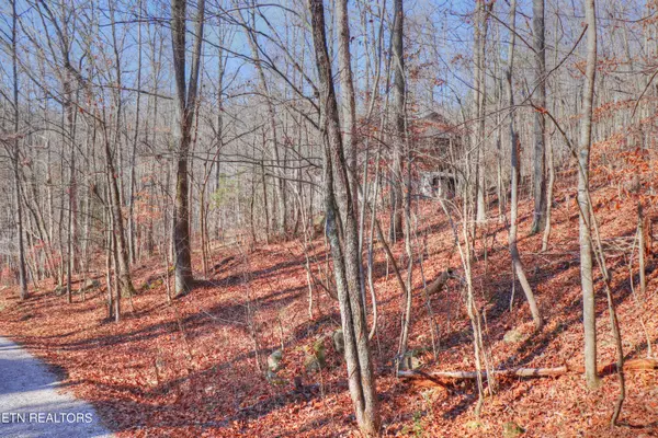 Harriman, TN 37748,Lot 18 Catawba LN