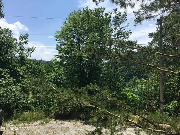 New Tazewell, TN 37825,Lot 880 Fellowship LN