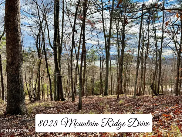 Mooresburg, TN 37811,8028 Mountain Ridge DR