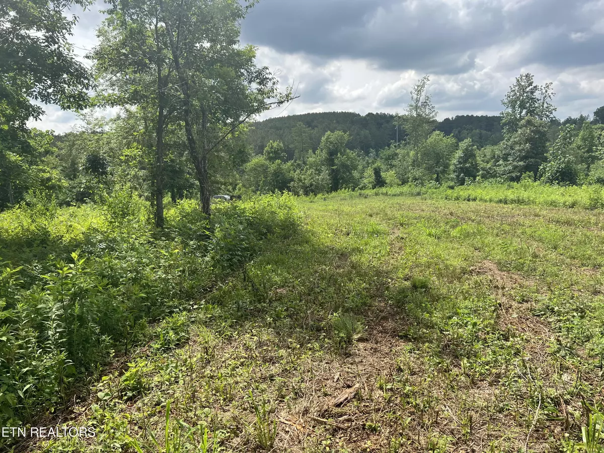 Loudon, TN 37774,Watkins Rd