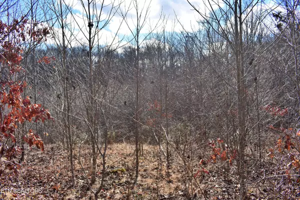 Spring City, TN 37381,Lot 72 Oak Trail