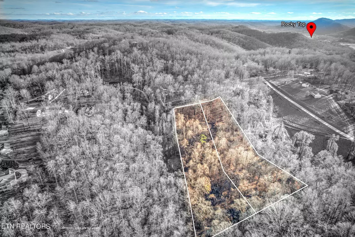 Rocky Top, TN 37769,Mountain Lake DR