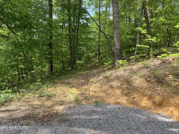 Tellico Plains, TN 37385,Indian Ridge Drive