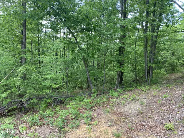 Tellico Plains, TN 37385,Indian Ridge Drive