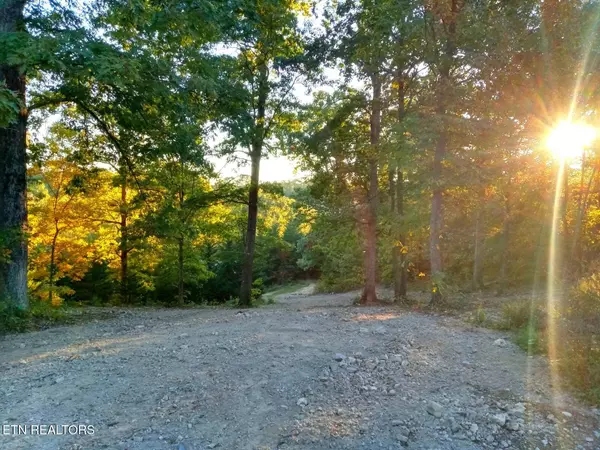 Loudon, TN 37774,7171 Vonore Rd