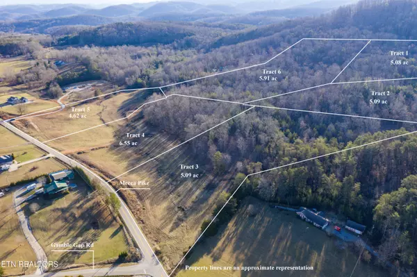 Tellico Plains, TN 37385,Tract 6 Mecca Pike