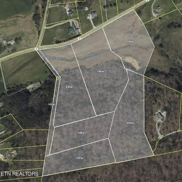 Tellico Plains, TN 37385,Tract 4 Mecca Pike