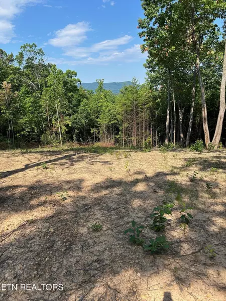 Tract 3 Mecca Pike, Tellico Plains, TN 37385