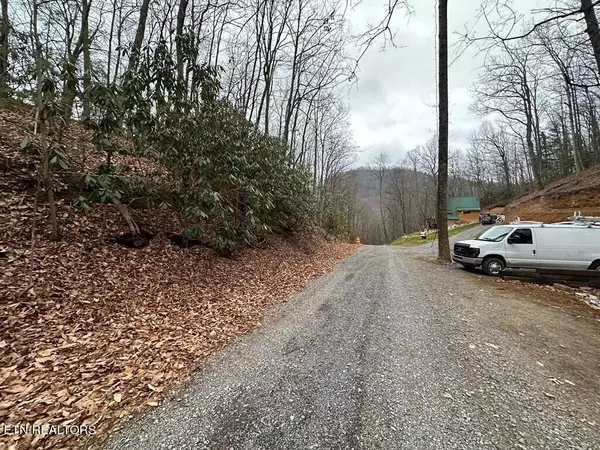 Sevierville, TN 37876,Lot 43 Trailer Park LN